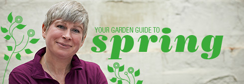 Spring Garden Guide