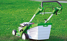 Wet weather lawn care