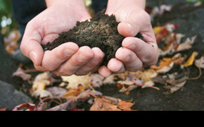 Composting