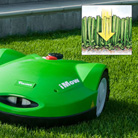 Mulching mower - for a greener lawn