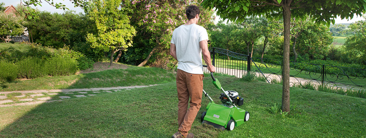 Lawn Scarifier